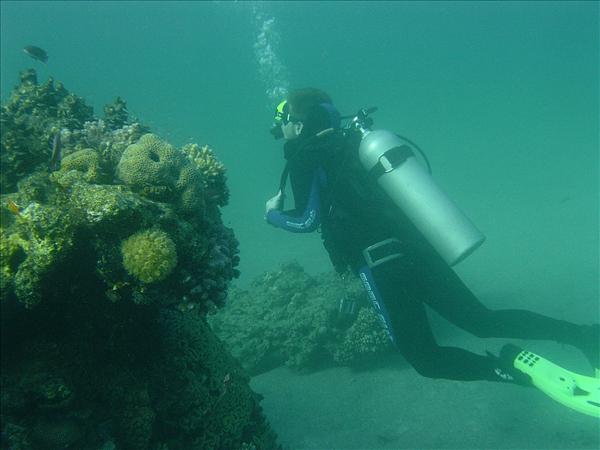 The Red Sea 025.jpg